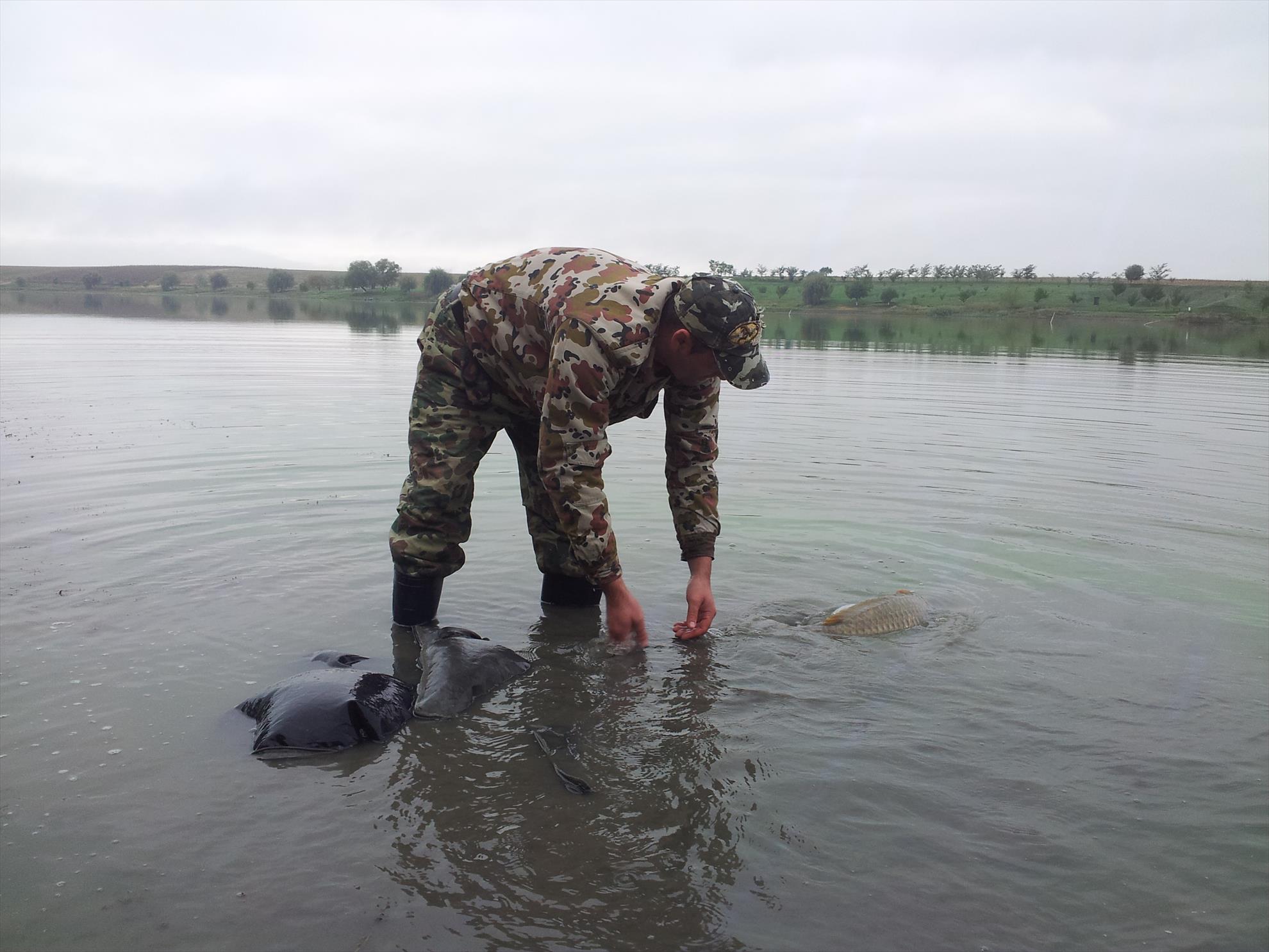 Cetariu 04-06.10.2015 - 20151006091539.jpg